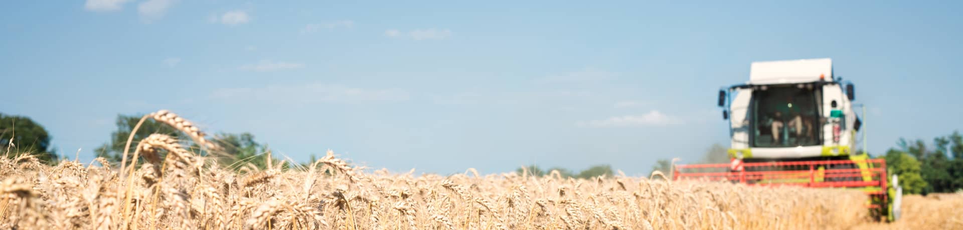 Produtor rural no campo com tablet na mão