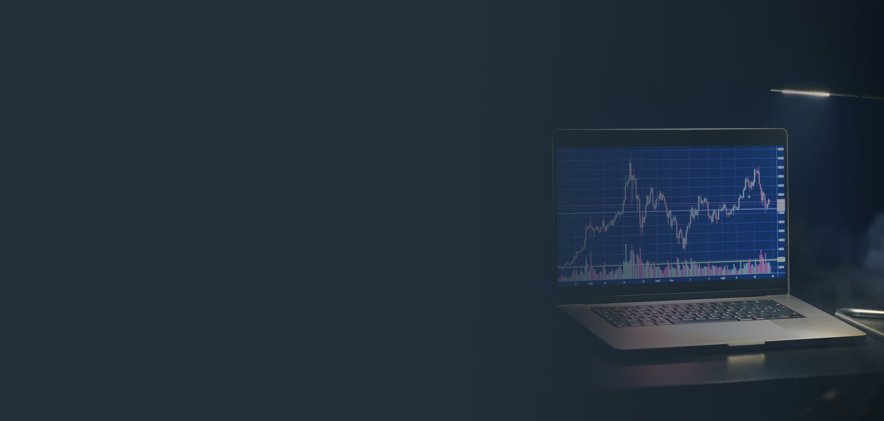 Fundo decorativo RLP